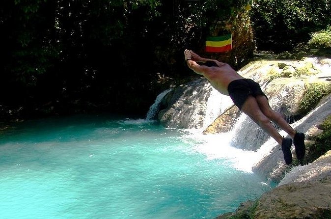Blue Hole Secret Falls Excursions Best Water Falls in Jamaica - Guide Commentary and Ecosystem Learning: Fun Facts Without the Lecturing