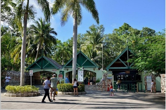 Dunn's River Falls - Private Driver Value: Why the Day Feels Easier Than DIY