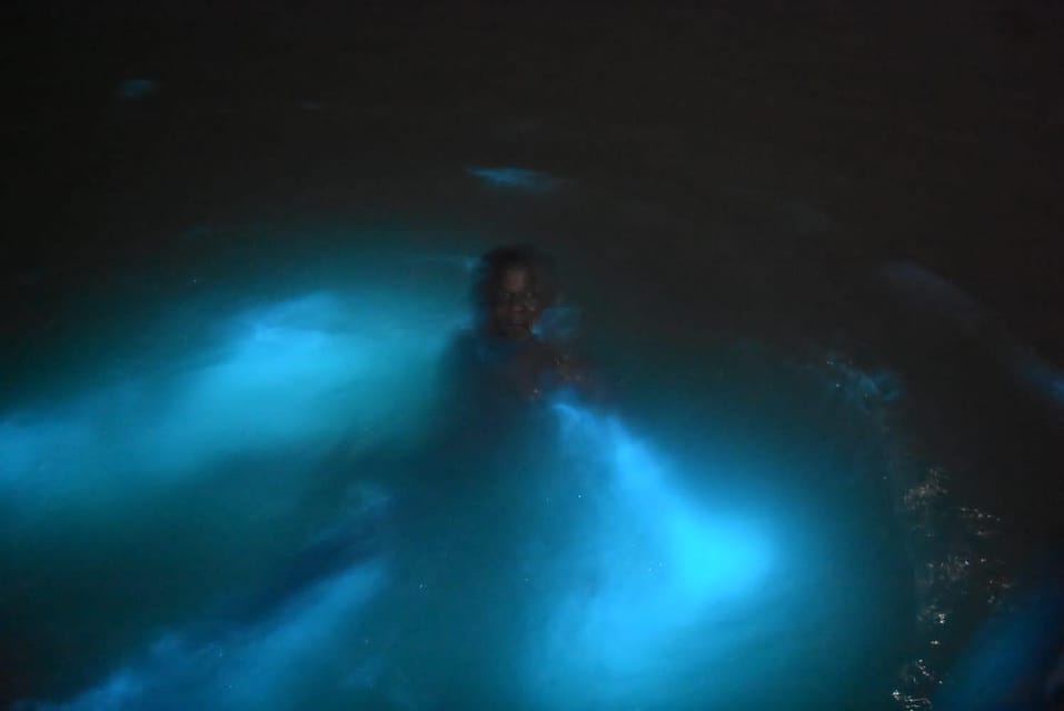 From Montego Bay: Luminous Lagoon Night Tour - Guided Boat Tour: How to Get the Best Light Trails