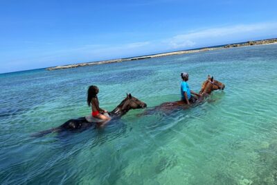 Horseback Ride and Swim Tour In Montego Bay - The 1-Hour Ride Through Farmlands and Storytelling
