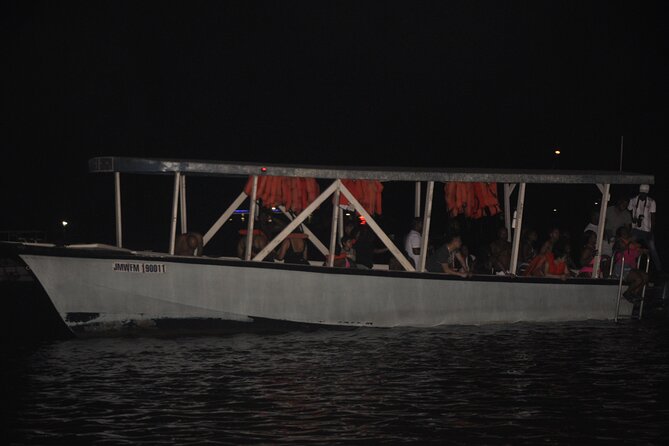 Luminous Lagoon Night Tour from Montego Bay - Why the Luminous Lagoon Glows the Way It Does