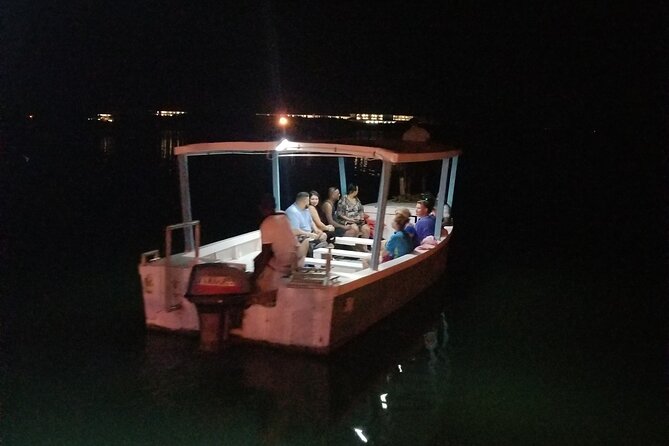 Luminous Lagoon Night Tour from Montego Bay - How Much Time You Really Get in the Water