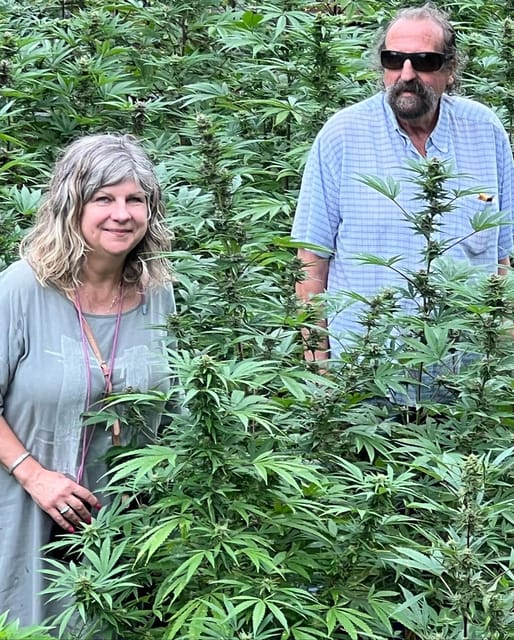 Montego Bay: Marijuana Farm Private Tour with Transportation - Tasting session: dried flower, extracts, and infused products