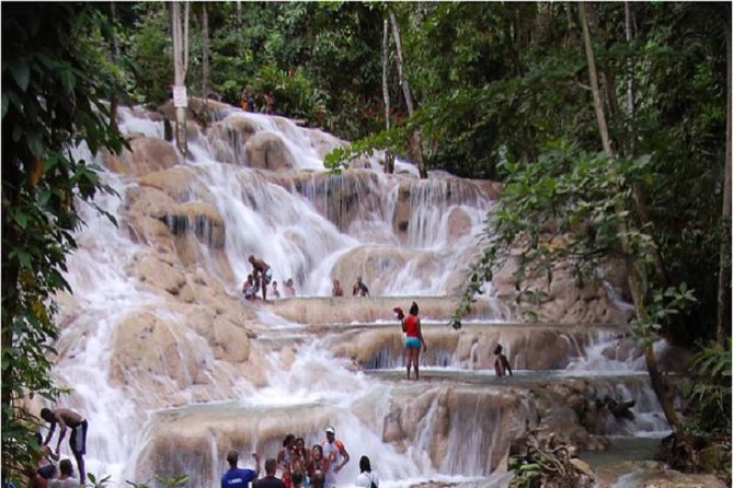 Montego Bay to Dunn's River Falls Half-Day Trip - Key points before you go