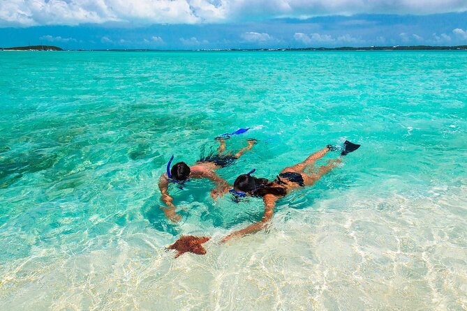 Negril Seven Miles Beach, Snorkeling, Boat Ride, Ricks Cafe Combo - Quick hits before you go
