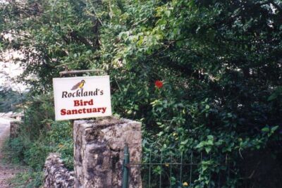 Rockland Bird Sanctuary Private Tour - Hotel Pickup to Bird Sanctuary: What the Drive Actually Feels Like