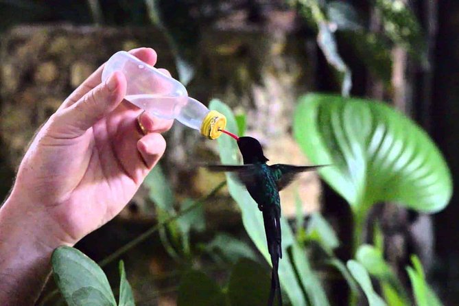 Rockland Bird Sanctuary Private Tour - Why a Private Guide Changes Everything