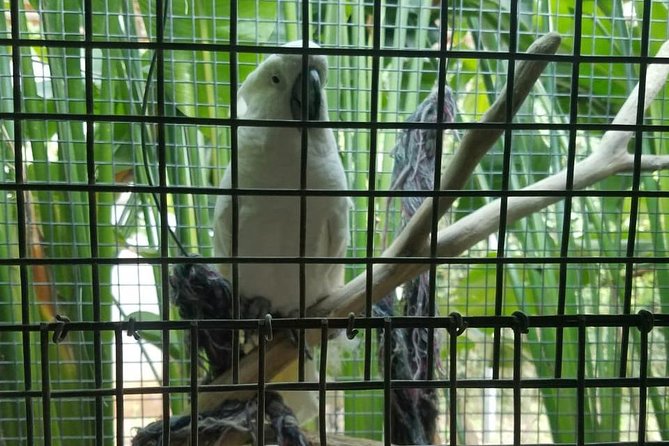 Rockland Bird Sanctuary Private Tour - Timing, Weather, and When This Tour Fits Your Day
