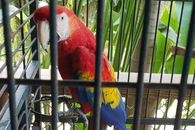 Rockland Bird Sanctuary Private Tour - Price and Value: Is $120 Worth It?