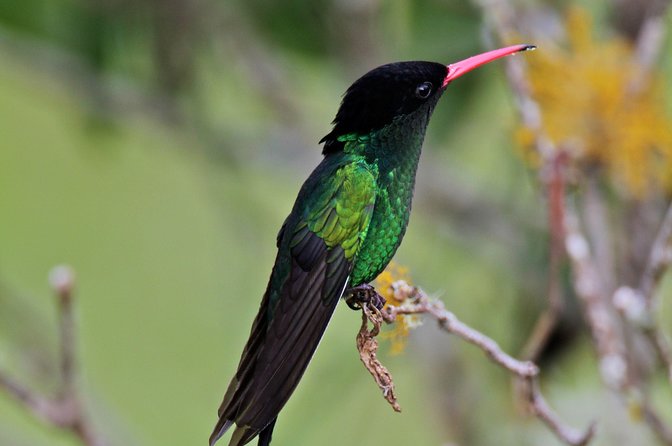 Rockland Bird Sanctuary Private Tour - The Experience Style: Peaceful Nature, Not a Fast Sales Pitch