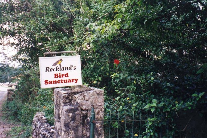 Rockland Bird Sanctuary Private Tour - Hotel Pickup to Bird Sanctuary: What the Drive Actually Feels Like